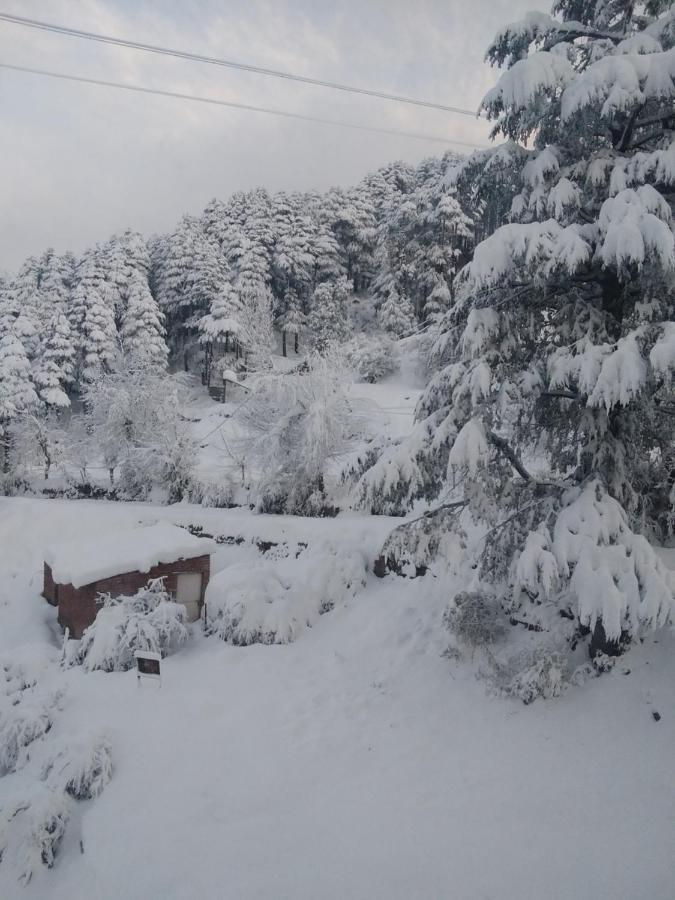 Hotel Green Orchid Udhampur Eksteriør bilde